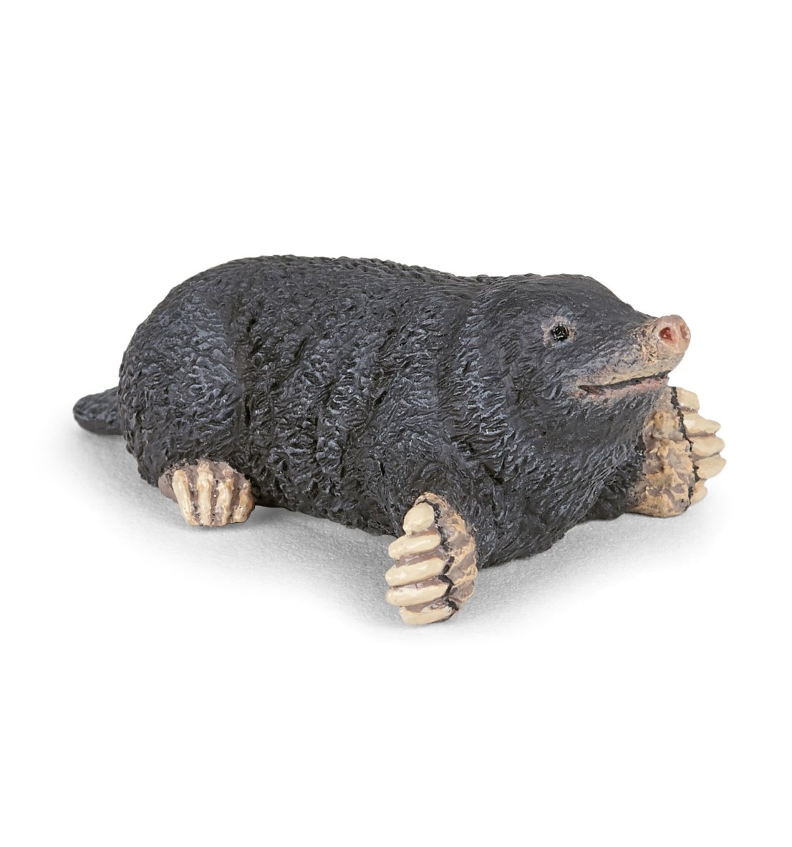 Taupe / Papo – Image 2